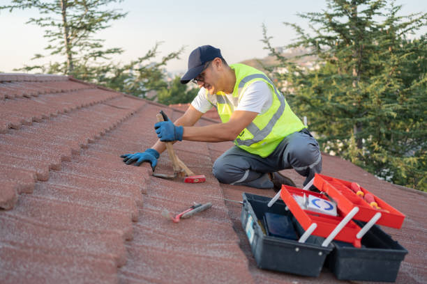 Best Sealant for Roof  in De Soto, MO