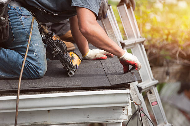 Best Roof Gutter Cleaning  in De Soto, MO
